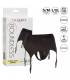 CALEX BOUNDLESS ARNES TANGA CON LIGUERO L XL