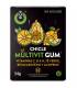 WUG CHICLE MULTIVIT GUM 10UDS