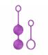 B SWISH BFIT BASIC KEGEL BALLS ORCHID