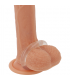 POWERING SUPER FLEXIBLE Y RESISTENTE ANILLO PENE 45CM CLEAR