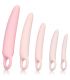 CALEXOTICS INSPIRE KIT DILATADOR VAGINAL SILICONA 5 PCS