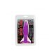 BAILE PLUG ANAL PEQUEaO LILA 15 CM