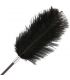 DARKNESS FUSTA CON PLUMA LOVE NEGRO 56 CM