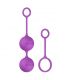 B SWISH BFIT BASIC KEGEL BALLS ORCHID