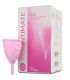 FEMINTIMATE EVE COPA MENSTRUAL SILICONA TALLA S