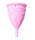 FEMINTIMATE EVE COPA MENSTRUAL SILICONA TALLA S