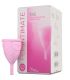 FEMINTIMATE EVE COPA MENSTRUAL SILICONA TALLA L