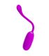 PRETTY LOVE JULIUS HUEVO VIBRADOR IMPERMEBLE RECARGABLE MORADO