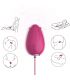 ARMONY MANDALA HUEVO VIBRADOR PUNTO G CONTROL REMOTO FUCSIA