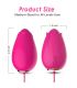 ARMONY MANDALA HUEVO VIBRADOR PUNTO G CONTROL REMOTO FUCSIA