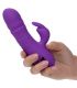 CALEXOTICS MANHATTAN BEACH MARVEL VIBRADOR RABBIT MORADO BY CALIFORNIA DREAMING