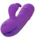 CALEXOTICS MANHATTAN BEACH MARVEL VIBRADOR RABBIT MORADO BY CALIFORNIA DREAMING