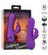 CALEXOTICS MANHATTAN BEACH MARVEL VIBRADOR RABBIT MORADO BY CALIFORNIA DREAMING