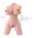 ARMONY TORSO FEMENINO REALISTICO MODELO 5