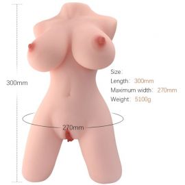 ARMONY TORSO FEMENINO REALISTICO MODELO 5