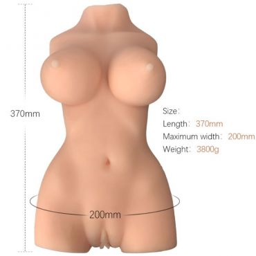 ARMONY TORSO FEMENINO REALISTICO MODELO 7