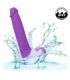 CALEXOTICS STUDS VIBRADOR RECARGABLE Y GIRATORIO 10 VIBRACIONES VIOLETA