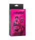 CALEXOTICS EUPHORIA COLLAR HALTER Y CORREA CON CADENA